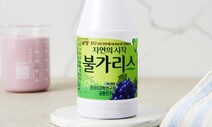 경찰, ‘불가리스 코로나 억제 홍보’ 남양유업 관계자 4명 송치