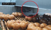 던킨 안양공장 시럽 설비에 곰팡이가…‘위생불량’ 영상 추가 공개