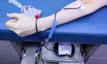 [뉴스AS] HIV 감염인 피 수혈됐다고? 감염 혈액은 수혈 전 걸러져요