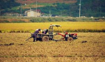 “동아시아 3국, 오존으로 곡물 수확량 감소해 연간 75조원 피해”
