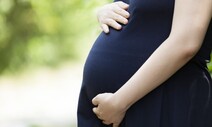 방역당국 “임신부, 방역패스 예외확대 대상 아니다”