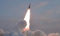 북, 사거리 190㎞ 단거리 탄도미사일 2발 발사