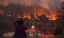 ‘대형 산불’ 왜 반복되나…“소나무 위주 ‘숲가꾸기’ 불쏘시개 늘린 것”