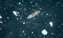 [포토] 2022년, 남극 해빙이 역대 최저로 줄어들었다