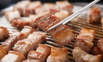 ‘물가 앙등’ 수입품 가격이 이끌어…돼지고기 28%·식용유 12%↑