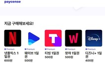 “‘하루에 넷플릭스 600원’ 이용권 팔아요” 업체에…OTT “법정 대응”