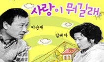 K-드라마 수출, 상사맨 씨 뿌리고 번역 전사들 꽃피워