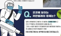 [김산하의 청개구리] 벌레 ≠ 박멸