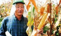 남한 쌀과 북한 Non-GMO 옥수수 맞교환을 제안한다