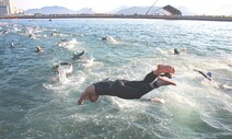 19년 수영꾼도 마산만에 푹 빠졌다…죽은 바다의 완벽 부활
