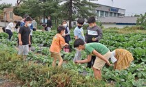 “맘껏 뛰어 노니 즐겁다”…전북교육청 농촌유학 만족도 높아