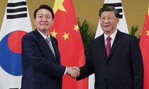 대화 물꼬는 텄지만…‘북핵대응 중국역할론’ 호응 안 한 시진핑