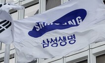 삼성전자 주가, 코스피보다 하락률 컸다…궁색해진 ‘삼성생명’