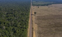 EU “산림 짓이겨 키운 농산물 안 사요”…온실가스 감축 새바람