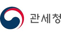 관세청, ‘사람 형상’ 성인용품 전신형 리얼돌 통관 허용