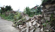 폭우·강풍에 붕괴된 신라 고분…기후변화는 문화재에도 치명타