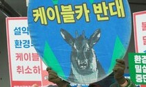 [사설] 전문기관들도 “부적절”, 설악산 케이블카 강행 말아야