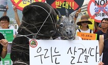 “설악산 뚫리면 국립공원 다 뚫린다”…케이블카 줄줄이 대기중