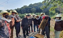 정부 “꿀벌 실종 사태는 해충 탓”…집중 방제·피해농가 지원