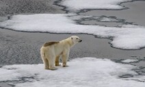 Climate actions in next 10 years will determine planet’s fate, new report shows