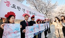 “중요한 건 꺾이지 않는 축제” 벚꽃 빼고 간다