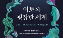 한낱 인간의 감각으로 물고기를 알 수 있을까