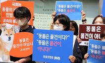 ‘보신탕’ 식용도살 사실상 금지…지자체 적극단속은 “글쎄요~”