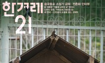 동물, 죽은 것은 어디나 있지만 산 것은 좀체 보기 어렵다