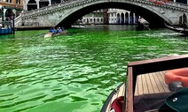 베네치아 ‘형광 초록’ 바다로…퍼렇게 질린 물의 도시