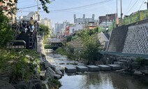 맑은 물에 버들치 헤엄치는 호젓한 여행지, 서울 안에도 있다 [ESC]