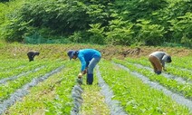 밥상 책임 진 외국인 계절노동자 이탈…체류기간·임금 현실화 숙제