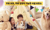 입소비 내면 안락사 없다?…‘자칭 보호소’ 신종 펫숍 구별법