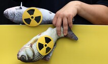 민주당, ‘후쿠시마산 식품 수입금지 법안’ 당론 추진