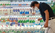 흰우유 등 유제품 가격 다음달 일제히 인상… 빙그레·동원도 가세