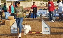 10월의 익산은 ‘댕댕이 천국’…반려견 캠핑·파티·축제 오세요~