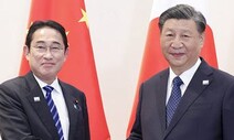 APEC ‘전방위 외교’ 나선 시진핑…미·일 등 6개국 정상과 회담