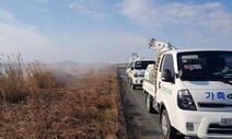 조류인플루엔자 위기경보 ‘심각’ 발령…정부·지자체 합동점검