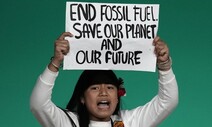 “OPEC 말 받아썼나”…‘화석연료 퇴출’ 사라진 COP28 선언