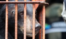 ‘사육곰’ 42년 만에 철창 밖으로…야생생물법 개정안 국회 통과