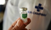 코로나 백신 기술 이용해 ‘범용 독감 백신’ 돌파구 열었다