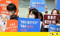 ‘보신탕’ 식용도살 사실상 금지…지자체 적극단속은 “글쎄요~”
