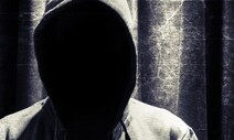 공연장 등 쫓아다니며 2년간 배다해씨 괴롭힌 20대 징역 2년