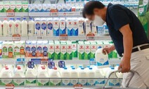 치즈 20%, 요거트 25%↑…유제품 ‘선제 인상’ 심상찮다
