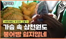 [줍줍] 붕어빵 너마저 오르다니…사장님도 “고물가 힘들어요”