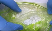 ‘클럽마약’ 20만명 투약분 반입…밀수조직 총책 등 7명 기소