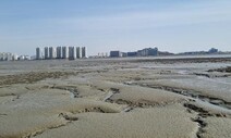 갯벌 훼손 우려…제2순환도로 인천-안산 구간 ‘습지 협의’ 통과