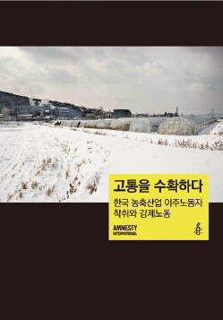 국제앰네스티가 10월20일 발간하는 ‘고통을 수확하다: 한국 농·축산업 이주노동자 착취와 강제노동’ 보고서.