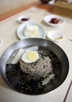 고성 백촌 막국수. 정용일 기자