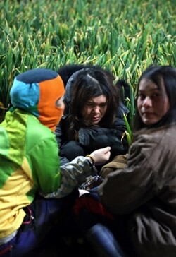정부 합동단속반에 체포된 여성 이주노동자들이 수갑을 찬 채 대파 사이에 앉아 소리 없이 울고 있다.