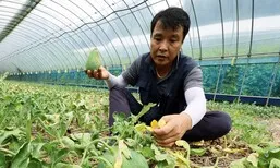 후텁지근한 광복절, 낮 최고 35도 무더위…전국 곳곳 소나기
